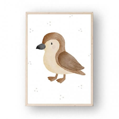 Poster Galápagos-Sturmtaucher A4 – print